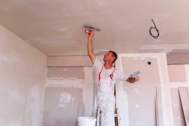 Best Ceiling Drywall Installation  in Hominy, OK